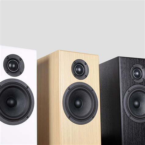 Totem Acoustic Bison Twin Tower .